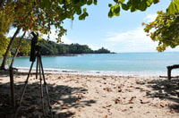 Von Jaco, ganztägige Manuel Antonio National Park Tour - Hizvo