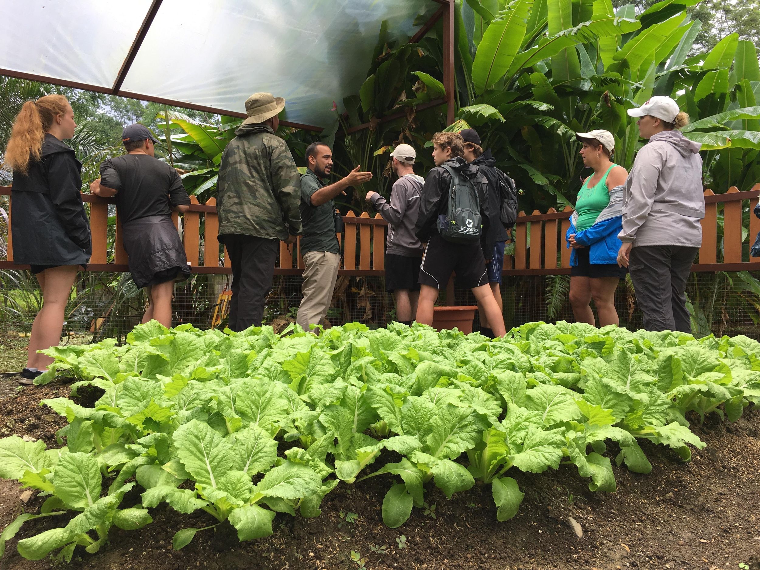 Quepos: Manuel Antonio Local Flavor Tour