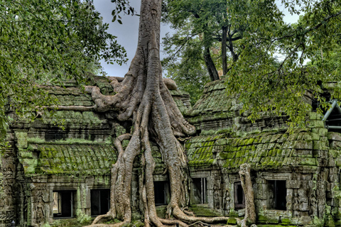 Angkor Wat Privat tur med Tuk-Tuk