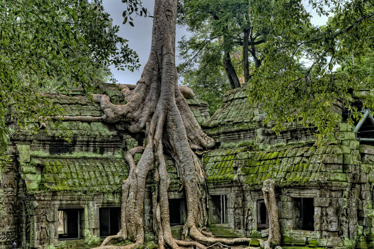 Angkor Wat Privat tur med Tuk-Tuk