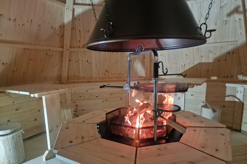 Rovaniemi: Northern Lights Tour with Finnhorses Sleigh Ride