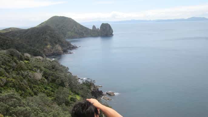 coromandel fullday coastal walkway walk