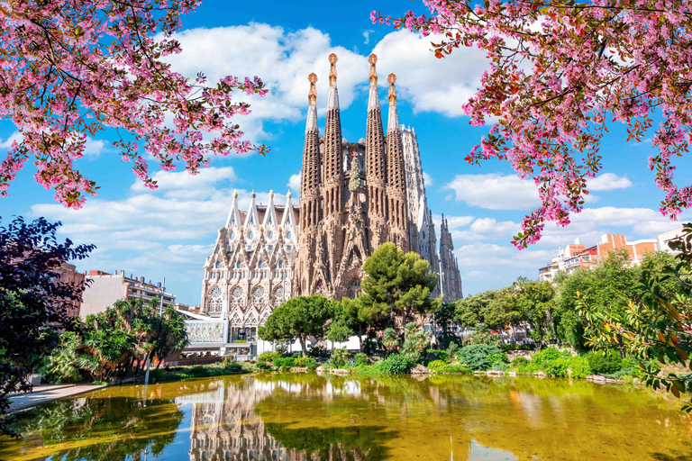 Uncover Sagrada Familia: Gaudí’s Designs and Museum Exhibits