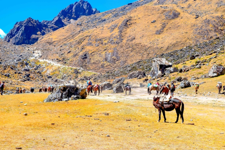 Cusco: 5-tägige Salkantay-Trekkingtour nach Machu Picchu