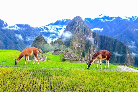 Cusco: 4-Day Inca Trail to Machu Picchu Small Group Trek