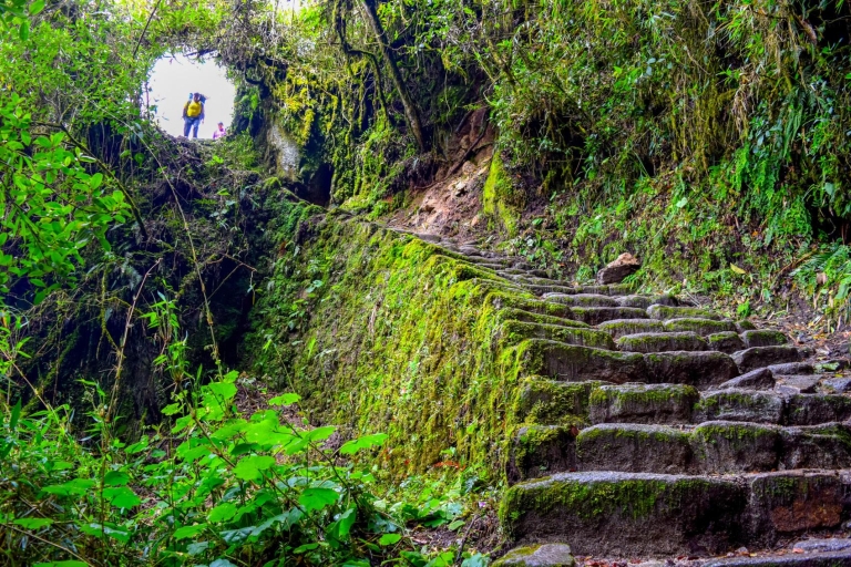 Cuzco: 4-daagse Inca-trail naar Machu Picchu in kleine groep