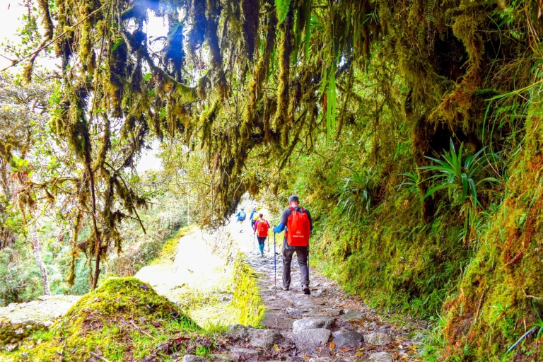 Cuzco: 4-daagse Inca-trail naar Machu Picchu in kleine groep