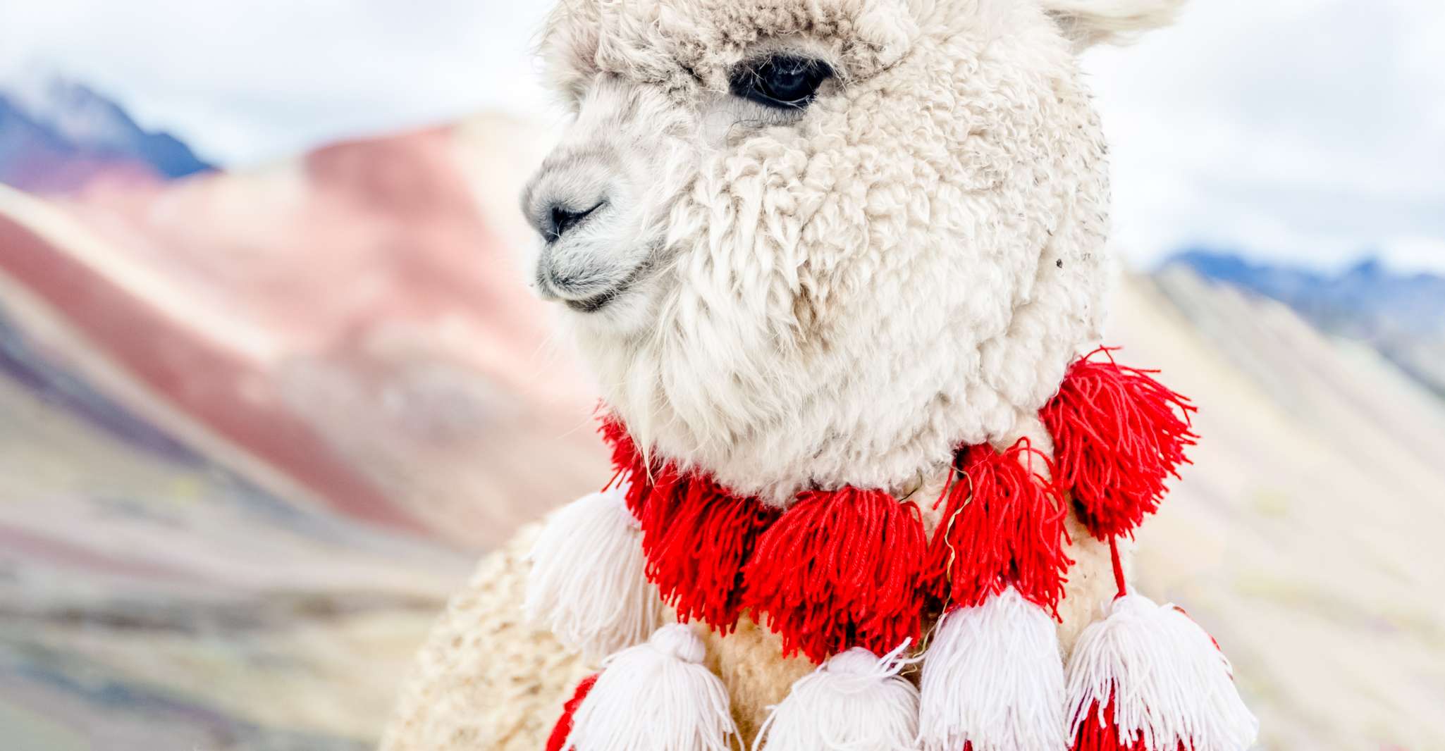 Da Cusco, Rainbow Mountain Trekking giornata intera con pasti - Hizvo