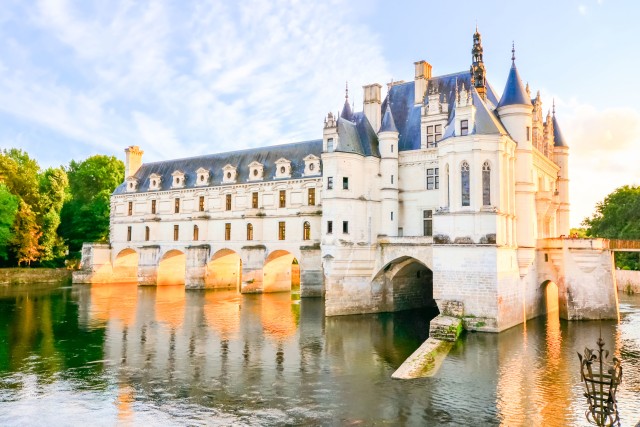 Visit Chenonceau Castle Private Guided Tour with Entry Ticket in Amboise, France