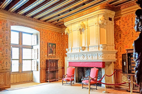 Castillo de Chenonceau: visita guiada privada a pie