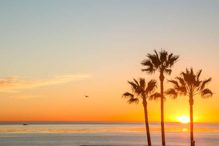 Visita a la cervecería al atardecer de California