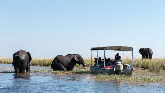 chobe national park day trip with river cruise