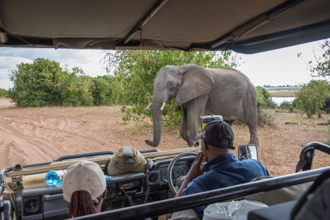 Park Narodowy Chobe: Jednodniowa wycieczka z River Cruise