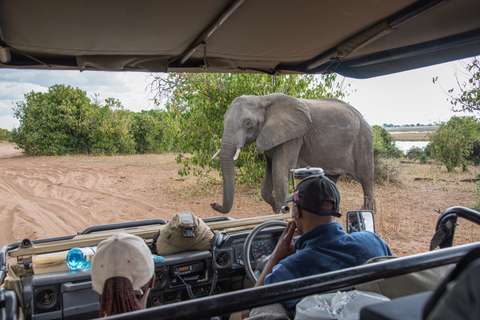 Parque Nacional de Chobe: excursión de un día con crucero por el río