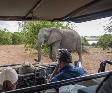 Chobe Day Tour: Game Drive and Boat Safari