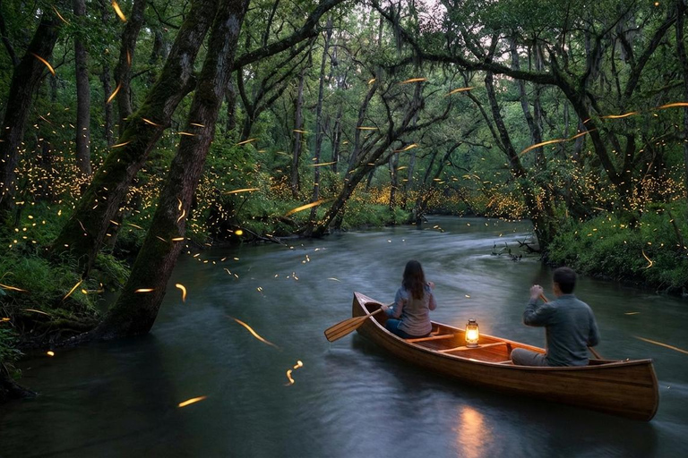 Kuala Selangor Eagle , Fireflies & Blue Tears Boat Tour