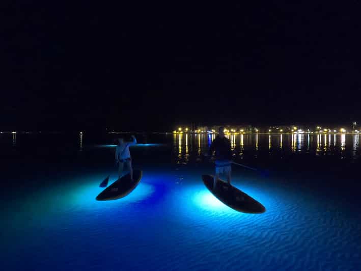 Split Stand Up Paddleboard Night Glow Tour GetYourGuide