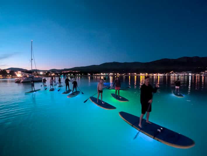 Split Stand Up Paddleboard Night Glow Tour GetYourGuide