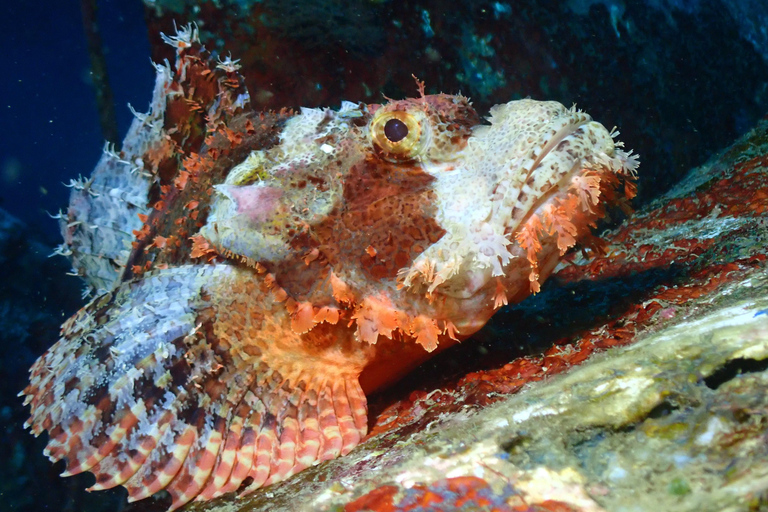 Descubra o mergulho em Boracay