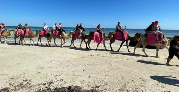 Djerba: 2.5-Hour Blue Lagoon Ride on a Camel, Horse, or Both