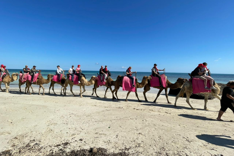杰尔巴岛：在蓝色泻湖骑骆驼和骑马。杰尔巴：蓝色泻湖骑骆驼和骑马之旅。
