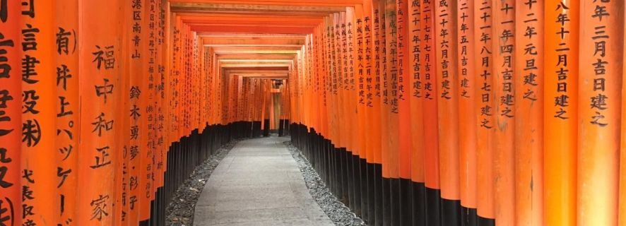 Kyoto: 4-Hour Private Customizable Walking Tour