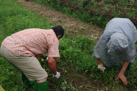 Hanoi: visite d'une ferme de village et cours de cuisine avec déjeuner