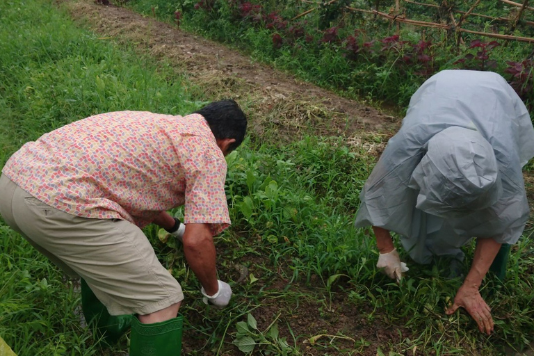 Hanoi: visite d'une ferme de village et cours de cuisine avec déjeuner