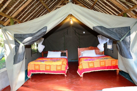 Nairobi: Private 5-tägige Masai Mara, Nakuru und Naivasha Tour