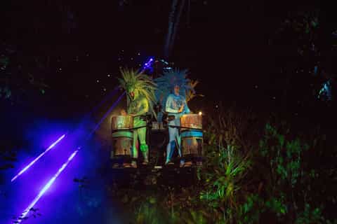 Puerto Vallarta: Rhythms of the Night Cruise & Dinner Show