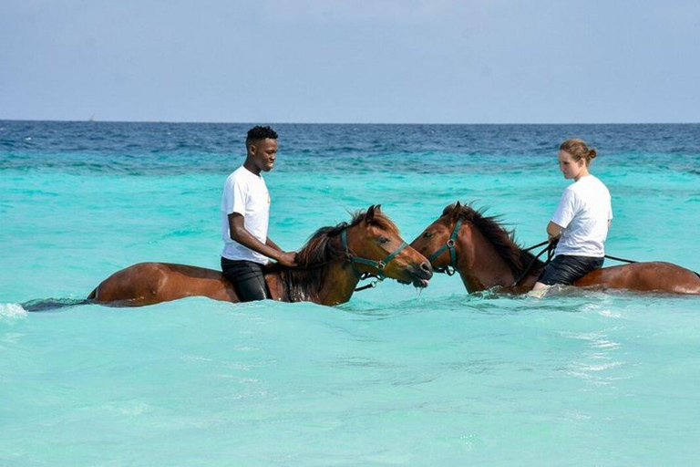 Zanzibar: Horseback Riding on the Beach with Guide