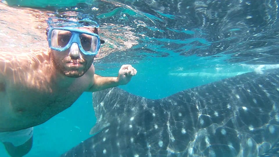 Oslob: Whaleshark Watching, Inambakan Waterfalls, and … | GetYourGuide