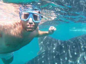Oslob: Whale Sharks, Inambakan Falls & Moalboal Sardines