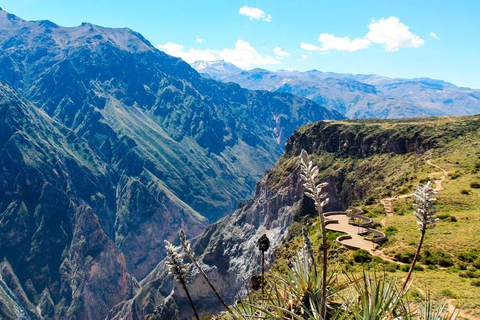 Excursión de 1 día al Cañón del Colca + Aguas Termales