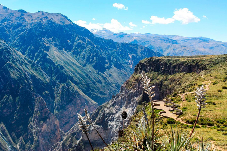 Excursão de 1 dia ao Colca Canyon + fontes termais