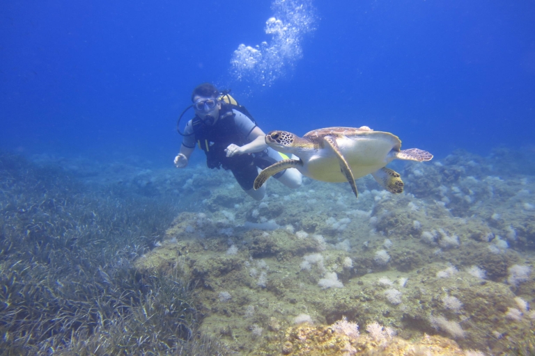 Side: Underwater Museum Scuba Diving Visit