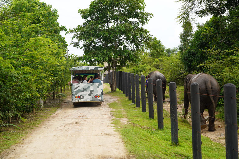 Van Bangkok: Wildlife Rescue and Elephant Rescue Tour