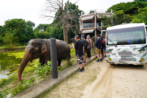 Van Bangkok: Wildlife Rescue and Elephant Rescue Tour