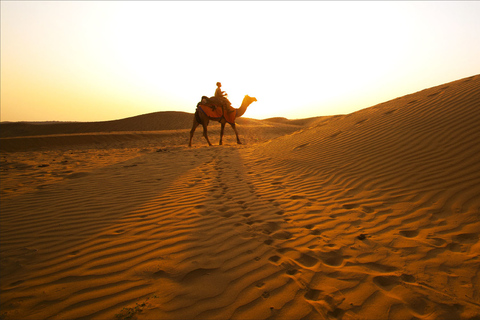 Vanuit Doha: Monster Bus WoestijntochtVan Doha: Monster Bus Desert Tour