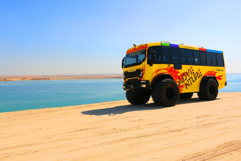 From Doha: Monster Bus Desert Tour