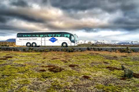 Keflavík Airport (KEF): Bus Transfer to/from Reykjavik