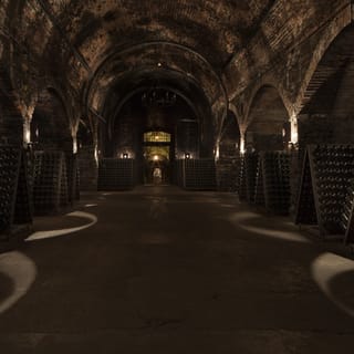 De Bergamo: experiência gastronômica e vinícola em Franciacorta