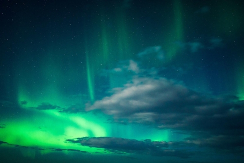 Ab Reykjavik: 3,5-stündige Geheimnisvolle Nordlichter-TourTour auf Englisch ab Treffpunkt