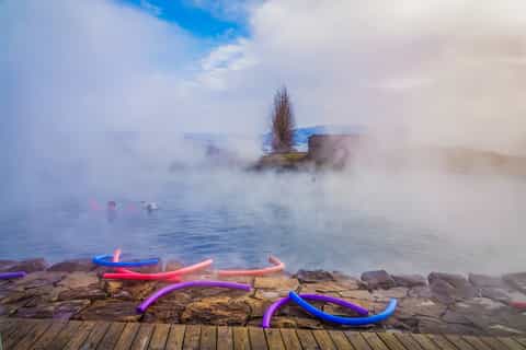 Iceland Secret Lagoon, Dinner and Northern Lights Hunt