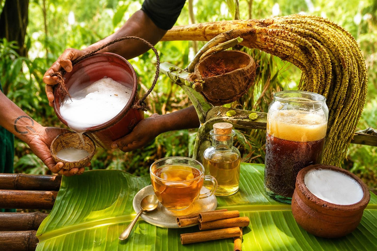 From Kandy: Traditional Eco Village Tour with Cooking Class