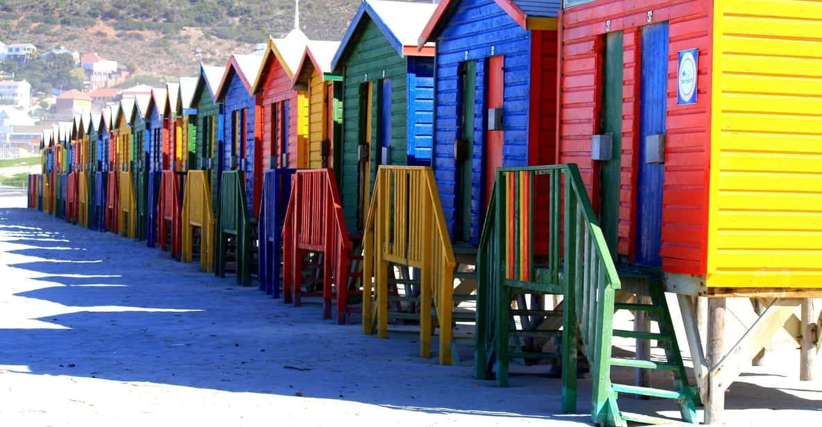 Cape Town: Table Mountain, Penguins & Cape Point Shared Tour