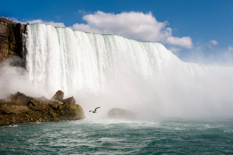 Toronto: Niagara Falls Group or Private Day Tour with Cruise Niagara Falls: Day Tour with Hornblower Boat Cruise