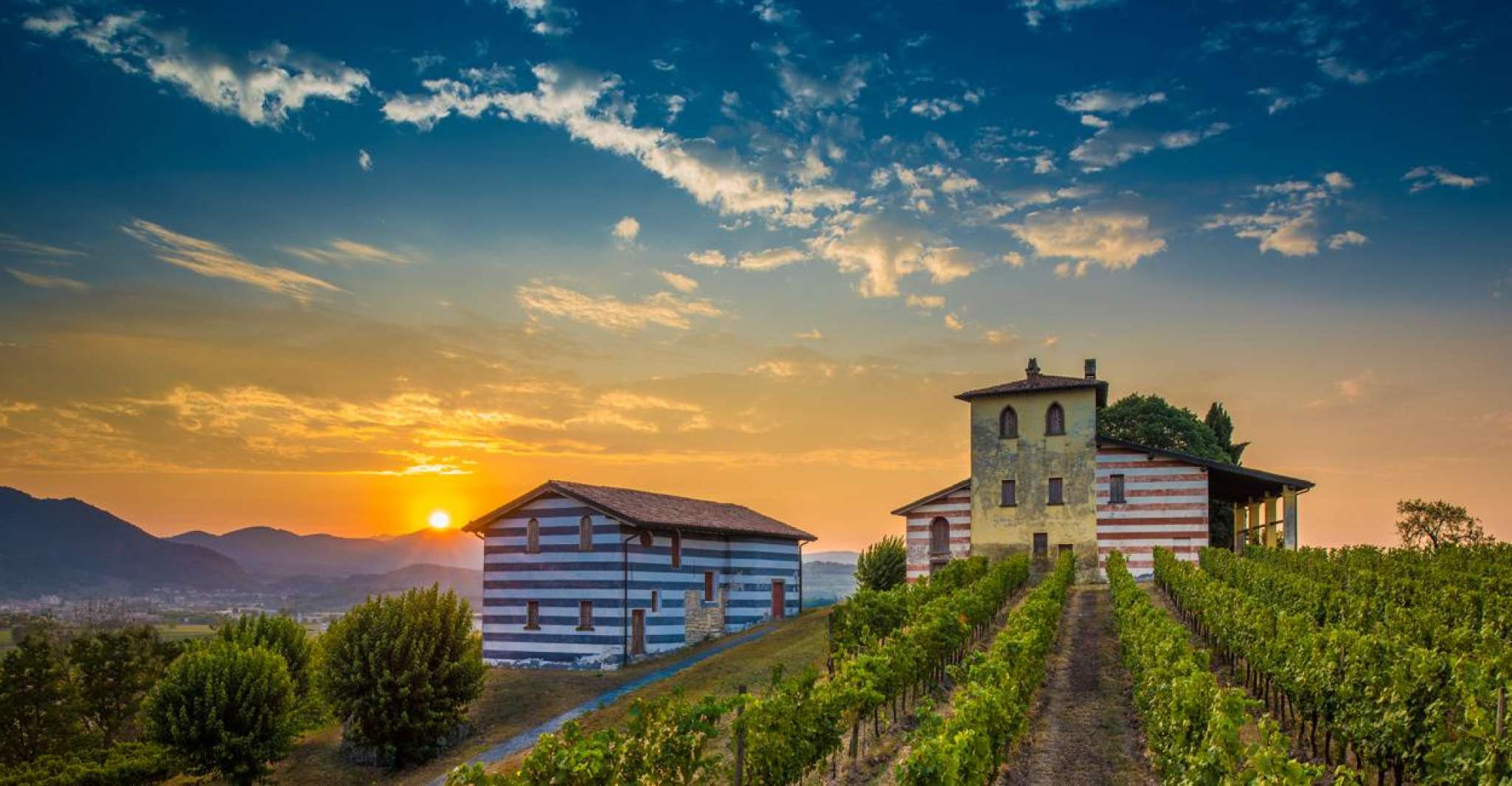 Half-Day Food and Wine Experience in Franciacorta - Housity