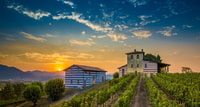 Halbtages Essen und Weinerlebnis in Franciacorta - Housity