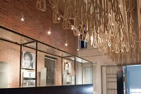 Johannesburg: Tour di mezza giornata del Museo dell'Apartheid